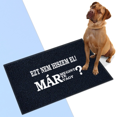 Lábtörlő /Már megint Te vagy