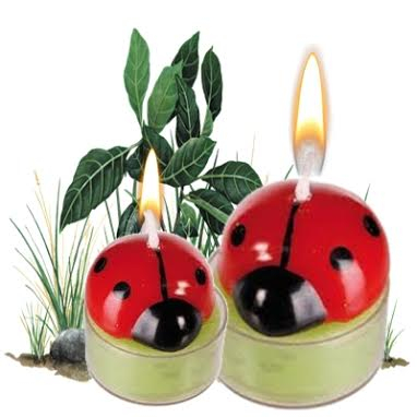 Katicás gyertya szett