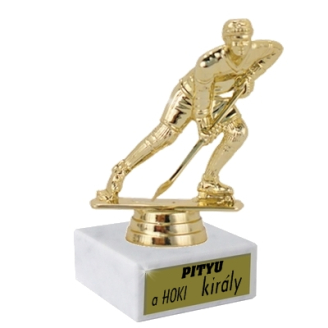 Legjobb jéghokizónak járó díj